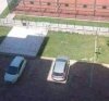Kiedy chcesz zostawić auto w cieniu