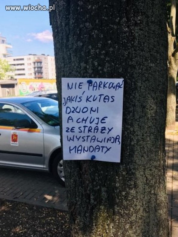 Dobry sąsiad