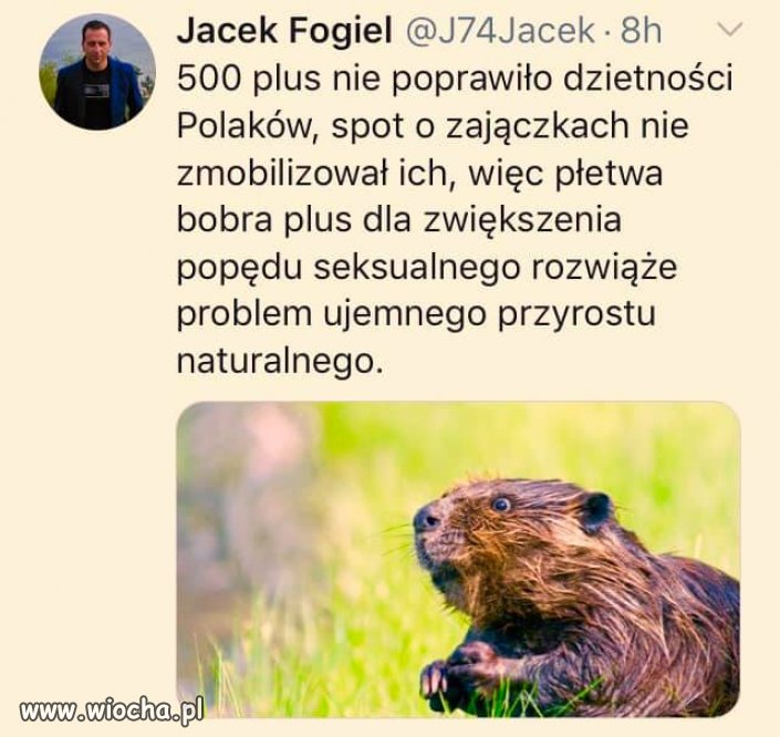 Nowy program rządowy dla zwiększenia dzietności