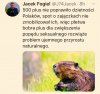 Nowy program rządowy dla zwiększenia dzietności