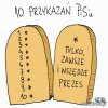 10 przykazań w/g pis