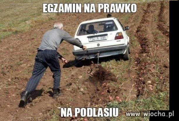 Bez komentarza 