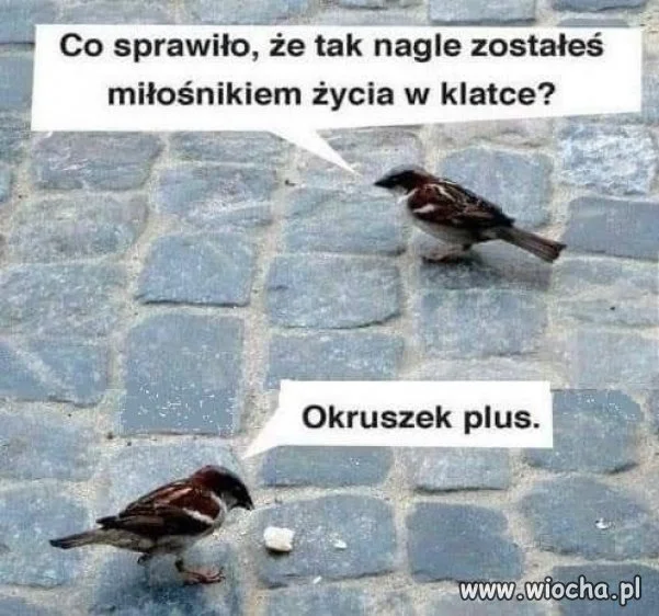Taka prawda