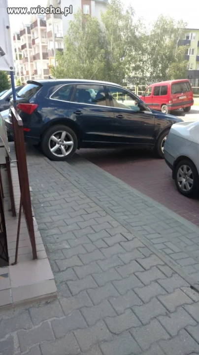 Parkowanie level max