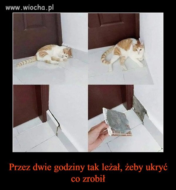 A to mały wandal