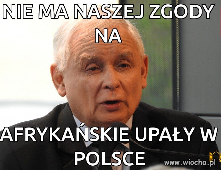 Jest reakcja w sprawie afrykańskich upałów