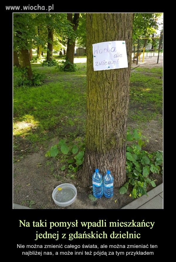 Może nie ukradną