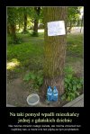Może nie ukradną