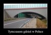 Ktoś kaskę przytulił