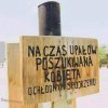 Ogłoszenie