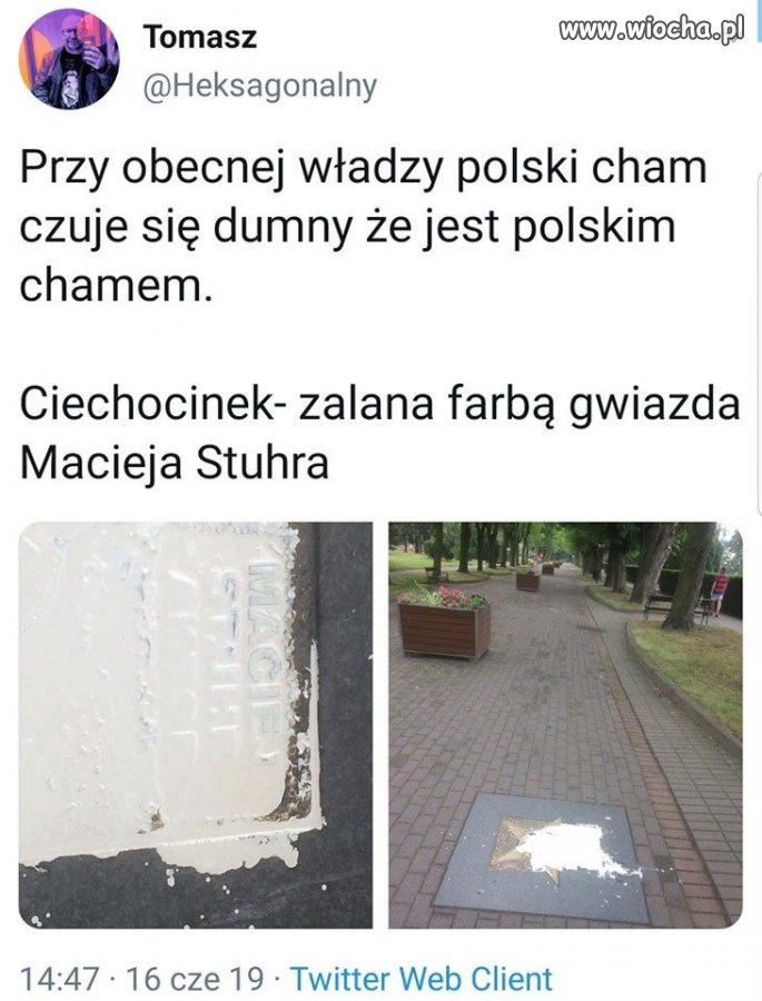 Polski cham