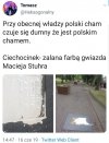 Polski cham