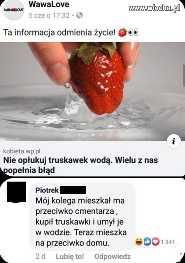 Piotrek