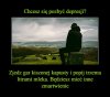 Mądrości ludowe