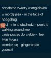 Mały poradnik angielskiego...