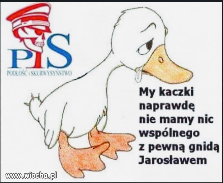 To prawda