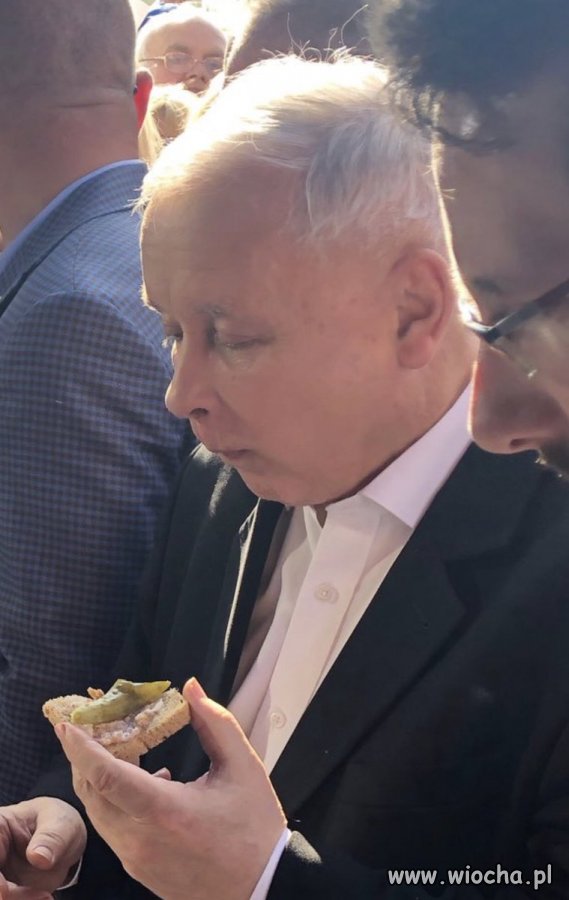Ups! Pan Szczerbaty trafił chyba na skwarkę.