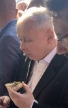 Ups! Pan Szczerbaty trafił chyba na skwarkę.