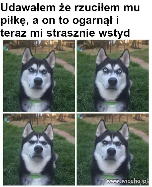 Wstyd...