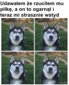 Wstyd...