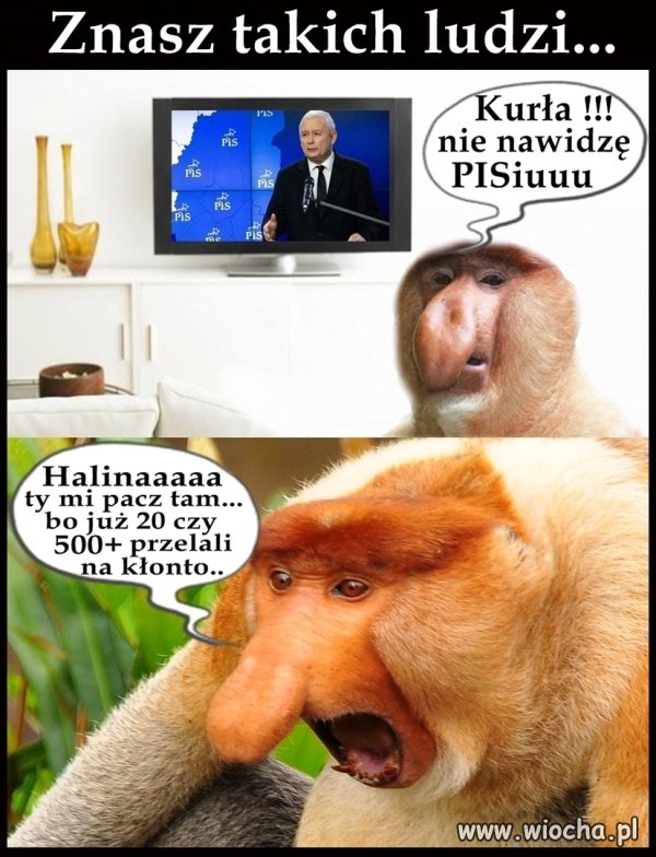 Janusze...