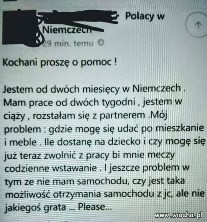 Polacy w Niemczech 