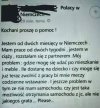 Polacy w Niemczech 