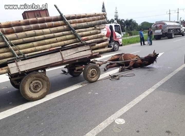 Przyczepa która powinna być ciągnięta przez ciągnik 