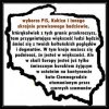 Oprzytomnijcie ... 