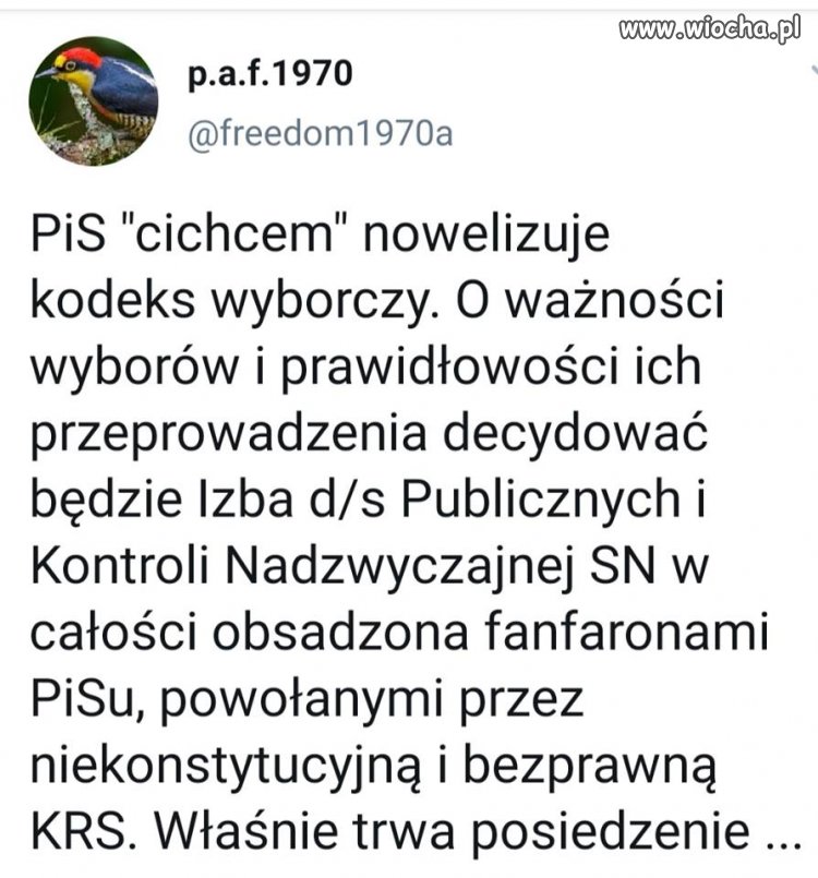 Wynik wyborów