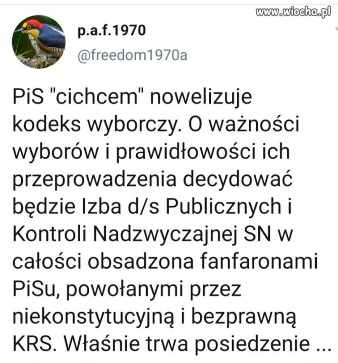 Wynik wyborów