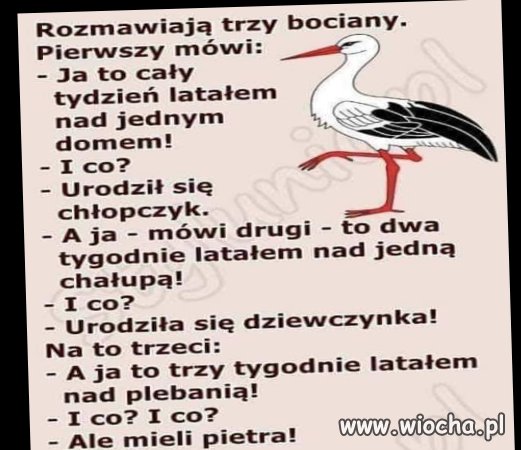 Heheszki