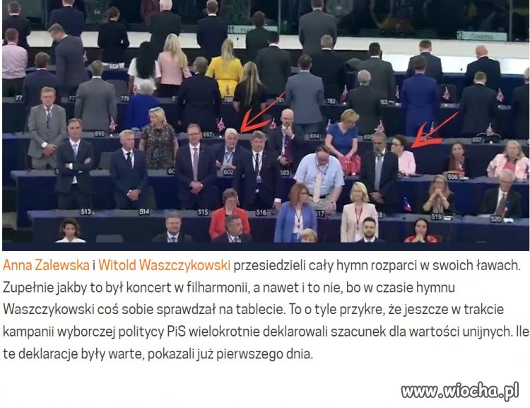  Nie tylko brexitowcy zniesmaczyli w Strasburgu...