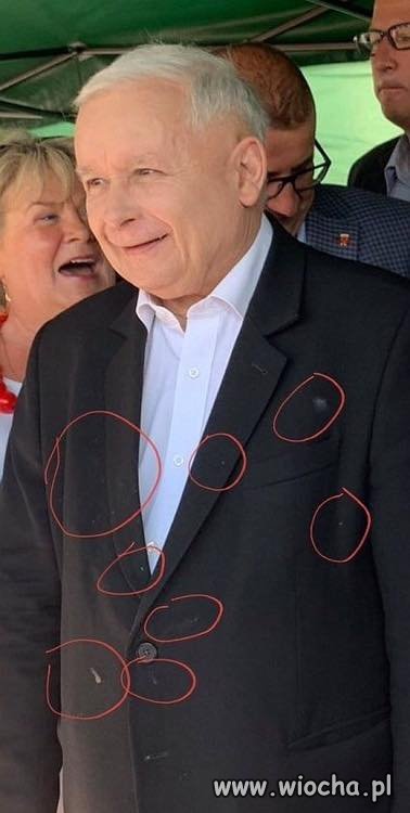 Czyścioszek