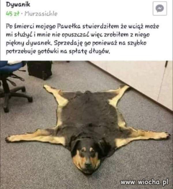 Yyyy...