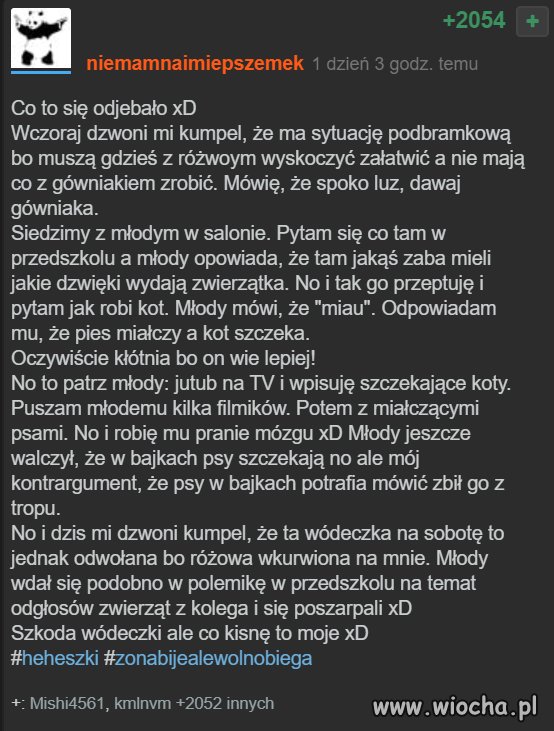 Kotki i pieski