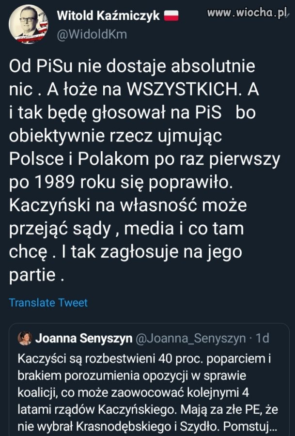 Mądrości Witka