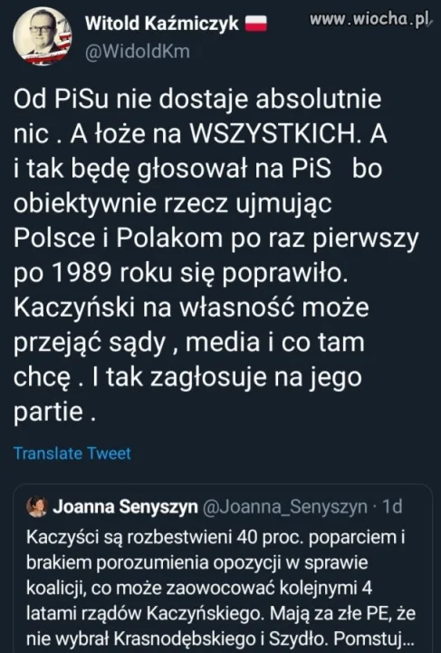 Mądrości Witka