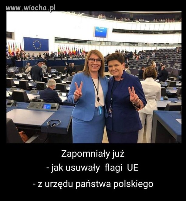 Ten rząd wszystko