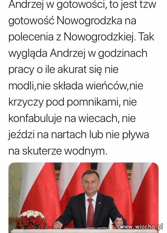 Forest głąb 