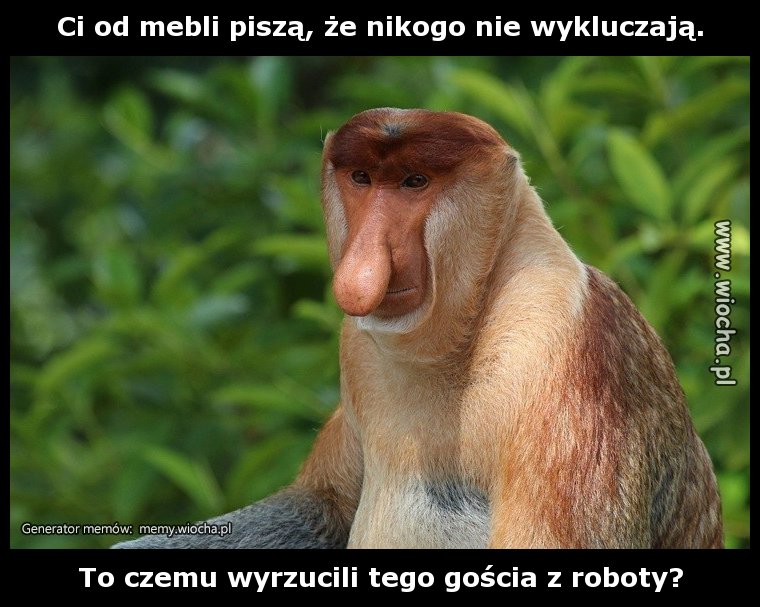 Ci od mebli piszą, że nikogo nie wykluczają.
