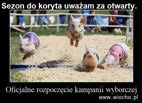Przekaz dnia