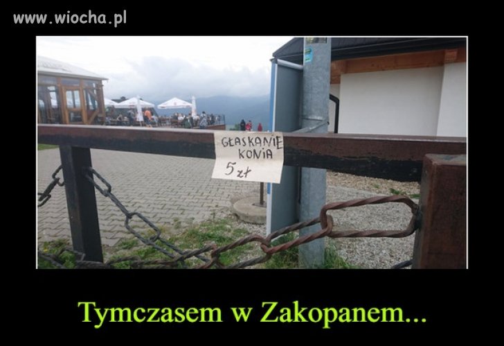I biznes się kręci