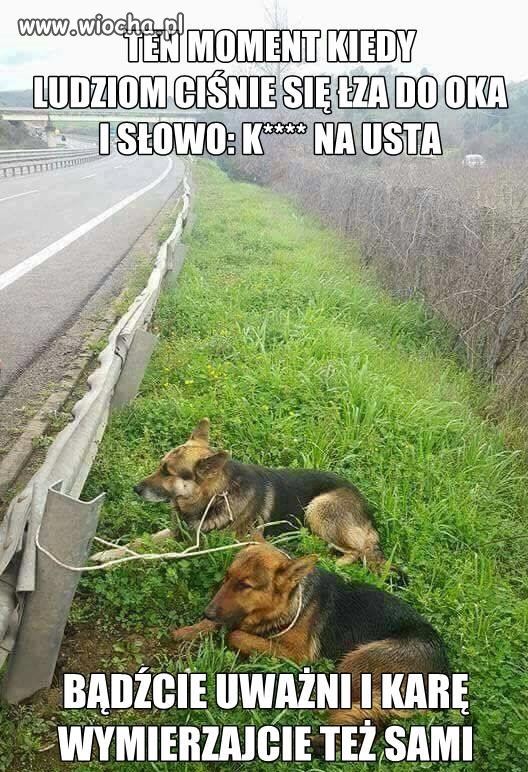 Tymczasem 