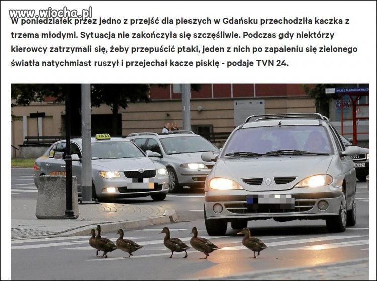 Bo się spieszył