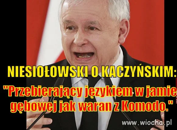 Waran z Komodo 