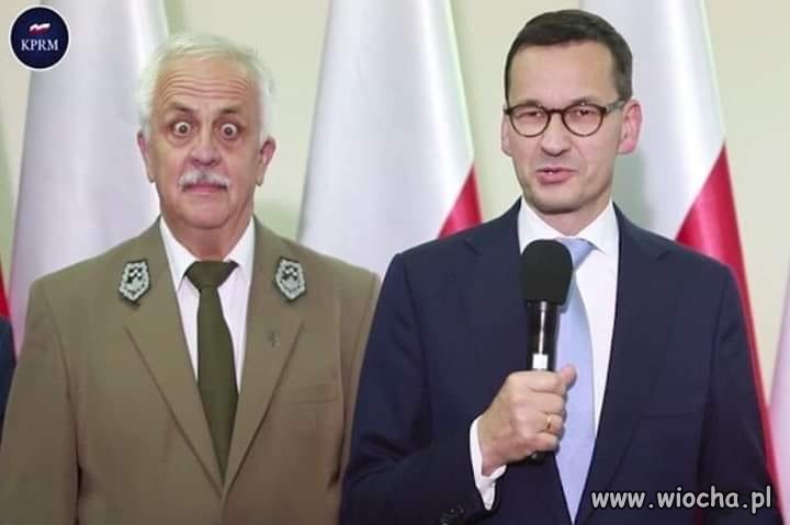 Posadzimy 500 milionów drzew