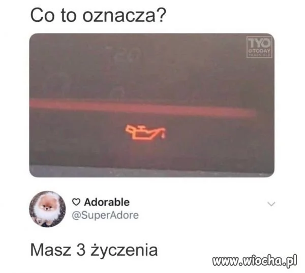 Samochodowa 