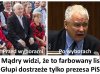 Farbowany lis...