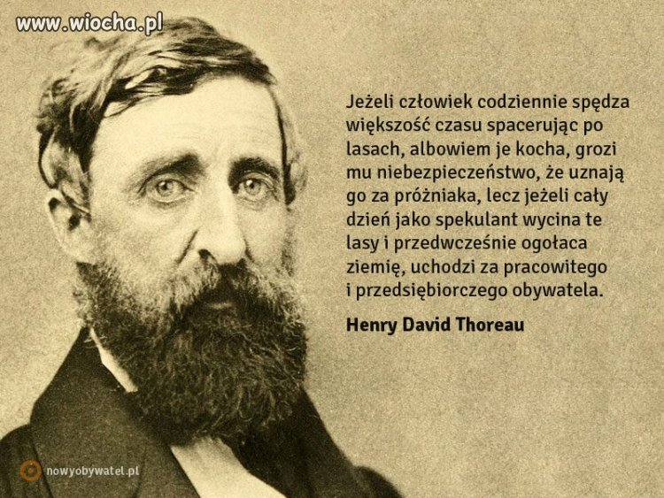Tymczasem 